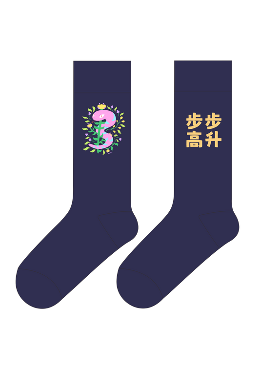 Step by Step to Success | FeliX Lucky Chinese Words Cotton Crew Socks Gift Box